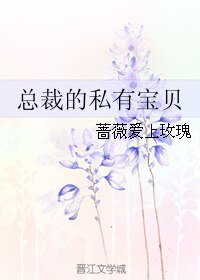 总裁的私有宝贝
